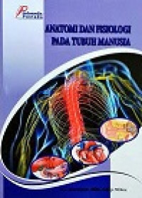 Image of Anatomi dan Fisologi Pada Tubuh Manusia